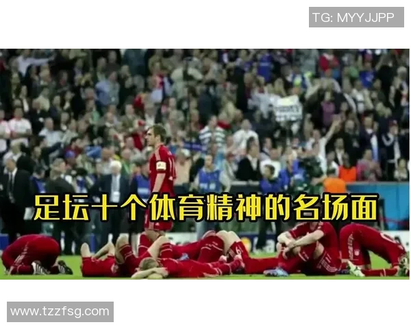 足球明星高清图集展现足坛巨星风采与激情瞬间的完美捕捉